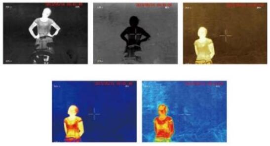 AZWS-V57多功能热成像观察仪(图1) AZWS-V57多功能热成像观察仪(图1)