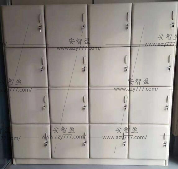 AZY-FHG1专*用防护用品柜(图2)